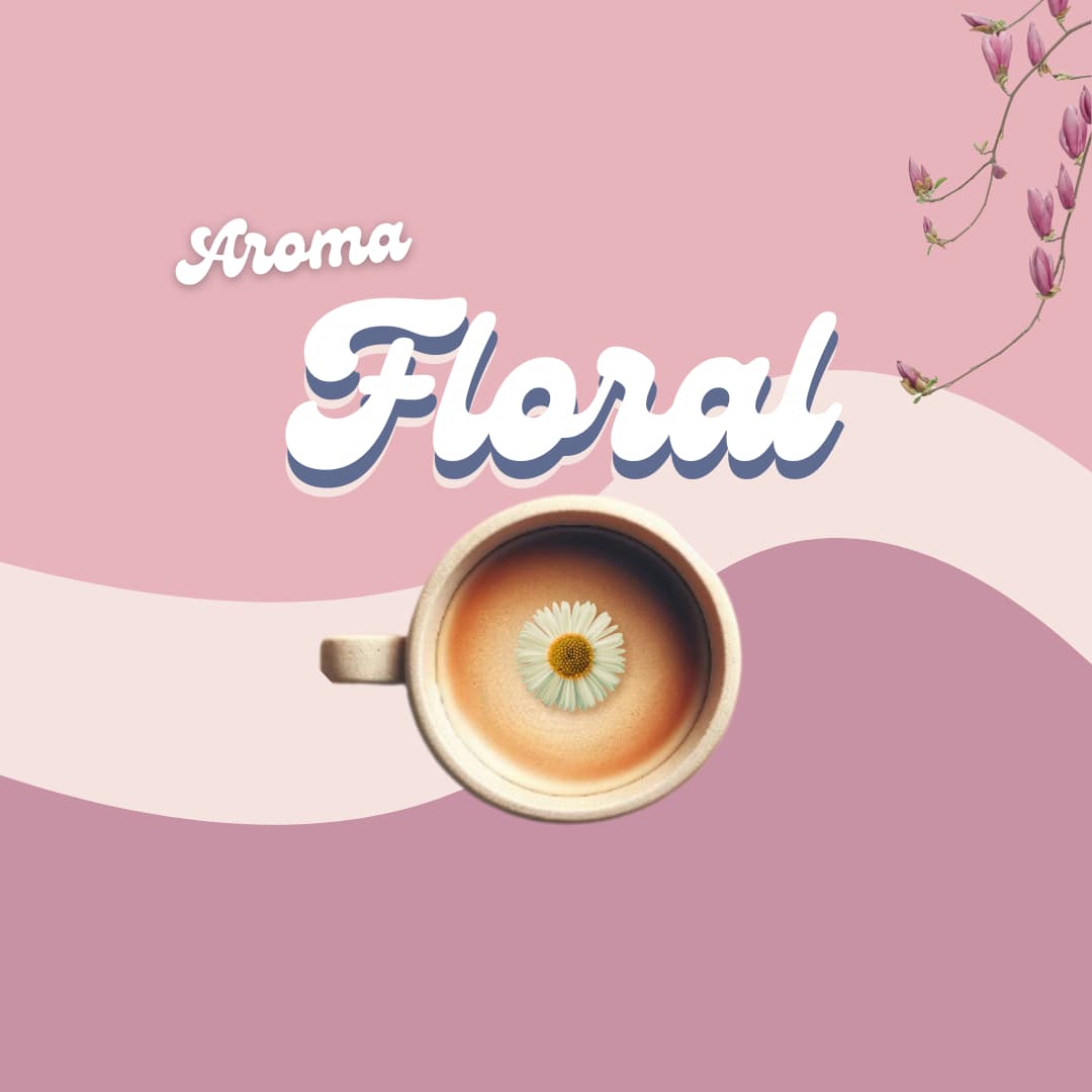 Kaffee-Aroma-Kategorie-Floral