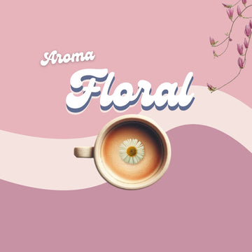 Kaffee-Aroma-Kategorie-Floral