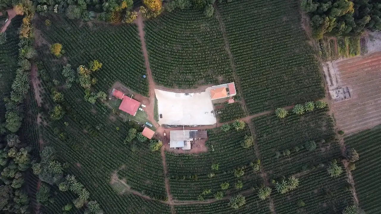 Sophia Kaffee: Luftaufnahme der Anbaugebiete