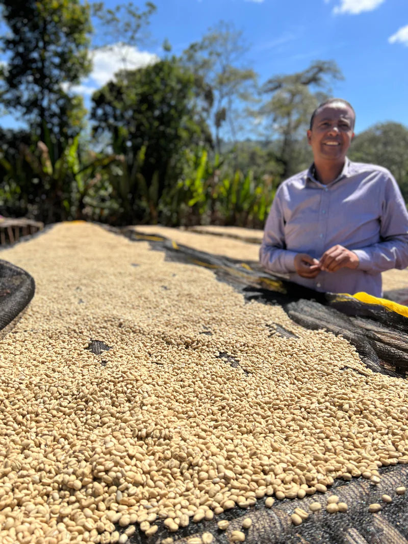 Maldaner_Faysel_Aethiopien_kaffee_ernte_1